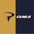 JwjHxCjuHEw-channel-avatar-Pinarello Q36.5 Pro Cycling Team