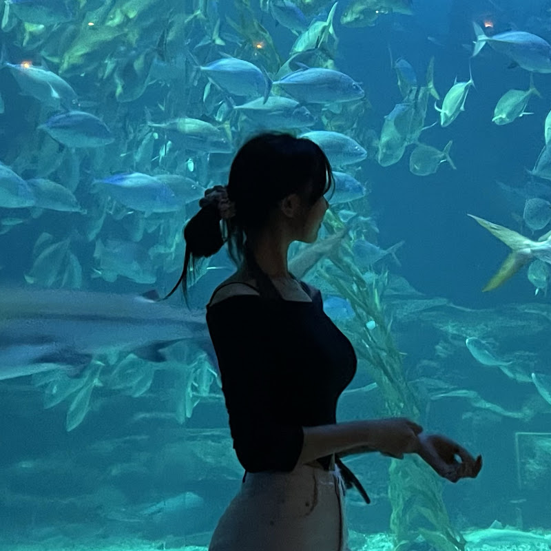 지니연 yeonjin