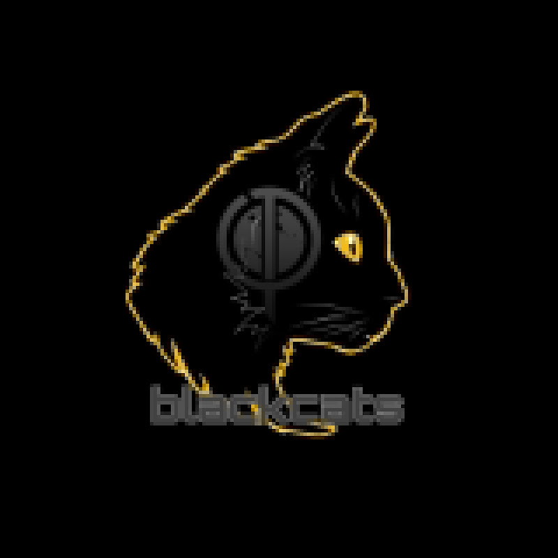 Logo for Black Cats