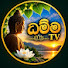 NkxOXiVqkdE-channel-avatar-ධම්ම TV