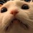 6Cw6vLpXclY-channel-avatar-LunaclePlays