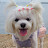 @모찌랑모리랑