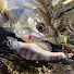 CVHL0kNpRJY-channel-avatar-D.I.Y Fishing(仮)
