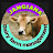 Jangiana Dairy management