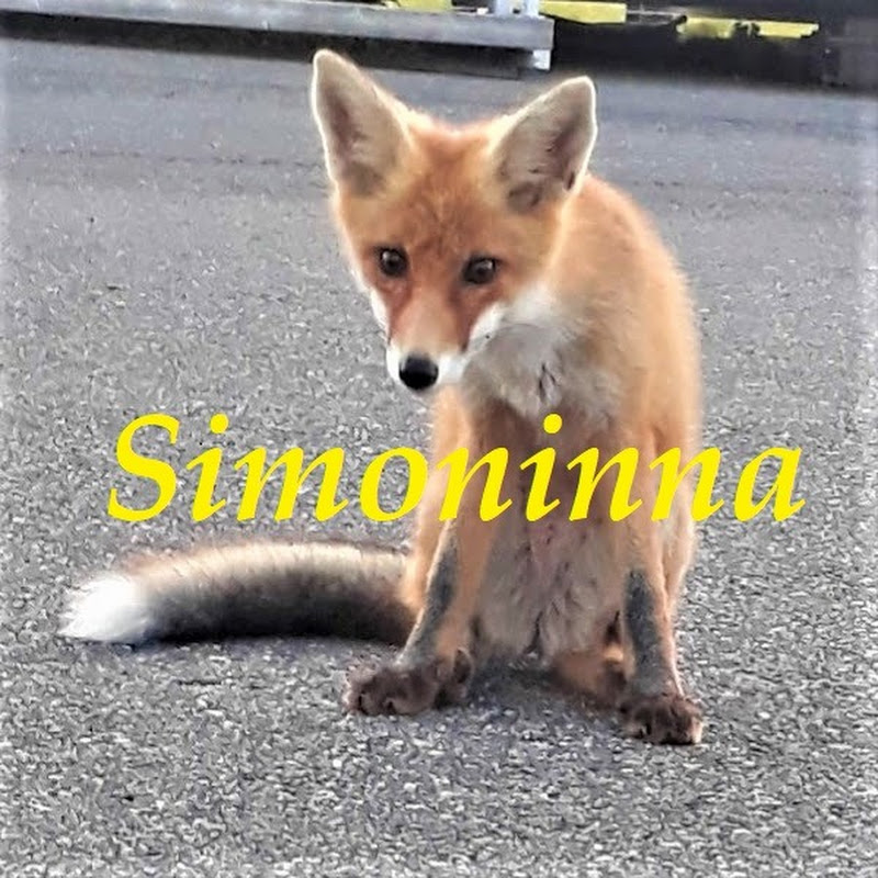 Channel Avatar