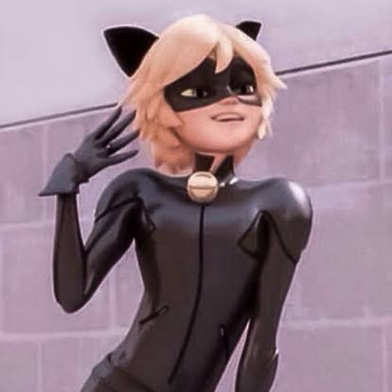 The Blind Chat Noir