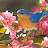 @Safa_qurux