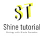 Shine logo
