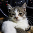 7b8puo7hJB8-channel-avatar-음악 아재