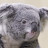 koala-log