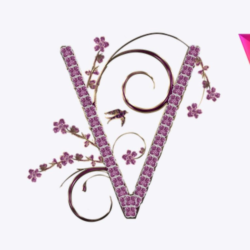 Veevid4u
