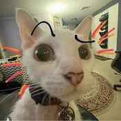 Renger_Cat
