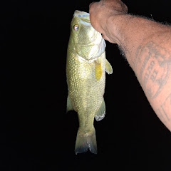 By The Lip Fishing