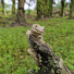 -qxoYx1apGc-channel-avatar-family gecko