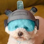obiad