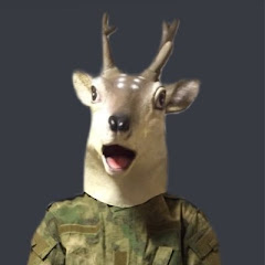空犬（SORAINU）