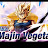 @majinvegeta-t9e