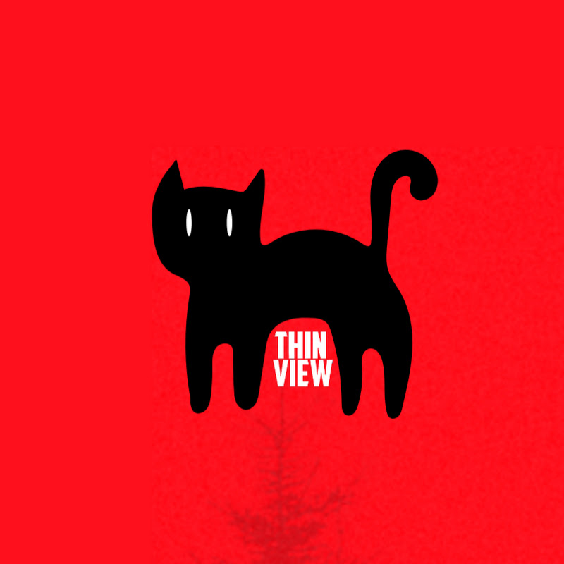 ThinView