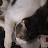 @Cats2025-love