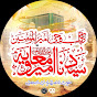 Ameer Muawiya logo