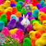 1POGKSu3VN4-channel-avatar-Ayam Mimin