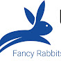Urban Rabbitry logo
