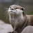 The Otter Story TOS