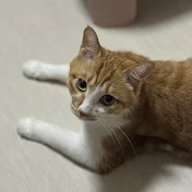 オレンジ