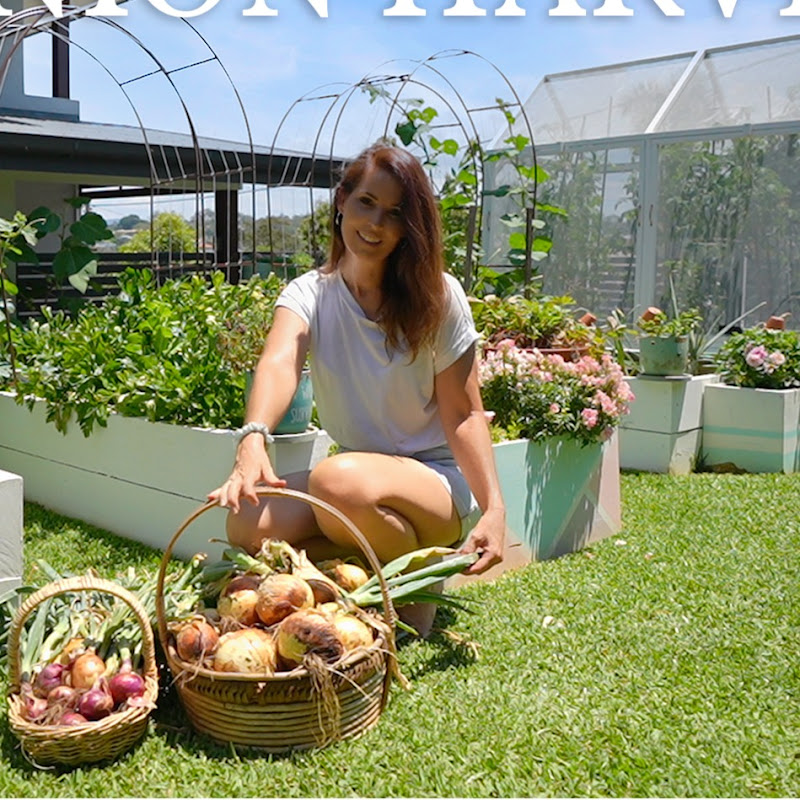 Riss Little Veggie Patch