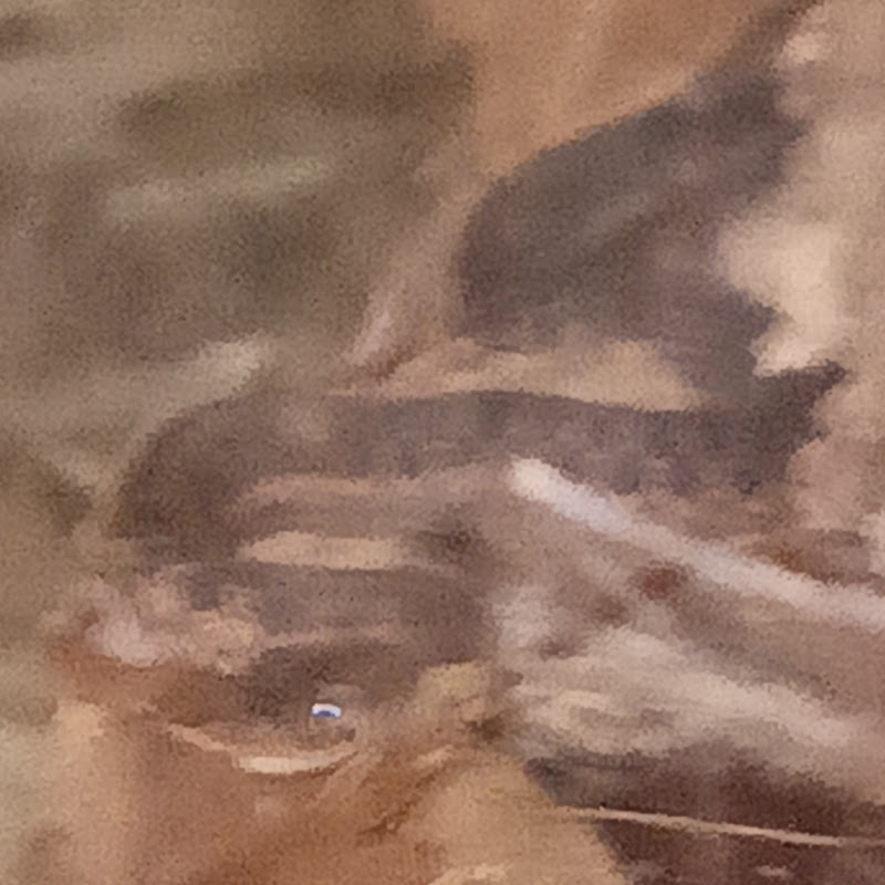 Boo's Snakes and more AKA Boos Exotics