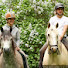 YOxoKVcZ1x8-channel-avatar-HorseVision Sweden - Rebecca & Christofer
