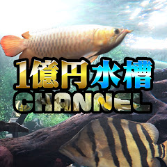 1億円水槽CHANNEL