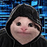 -5bwWdoMGKg-channel-avatar-Beluga Max