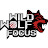 Wild Wolf Focus