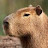 TheGaming capybara