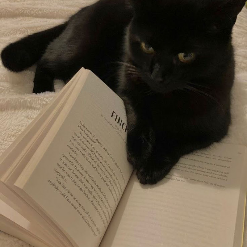 𝚋𝚘𝚘𝚔𝚟𝚘𝚢𝚊𝚐𝚎𝚛