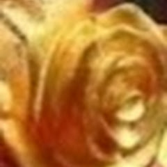 川蜀愚公アイコン画像