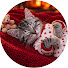 Pfg1gYugoXc-channel-avatar-Dreamy Sleepy Cats
