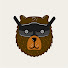 h2OejPW5j-Q-channel-avatar-MishkaFPV