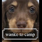 wanko to camp