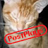 0YKZT70gV0I-channel-avatar-PostPlays