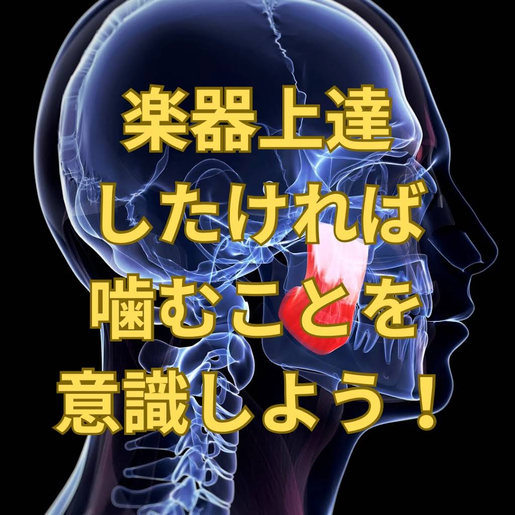 ラテンアメリカン パーカッション VHS 教則 ビデオセッション 動作確認済 Session Percussionist | Intelligent percussion and drum library