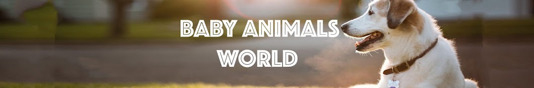 Baby Animals Awatar kanału YouTube