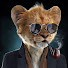 ekjSqg9ScfE-channel-avatar-Dmoney407