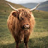 bGBb9W4aU10-channel-avatar-THE YAK