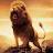 @AsdAlasd-fb7dc