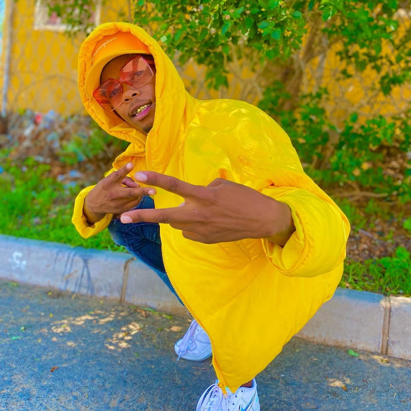 Vincent Die laste hond