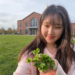 Serene Kim