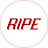 Ripe Skateboarding