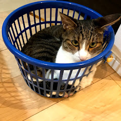 QOL向上ch【高卒会社員】